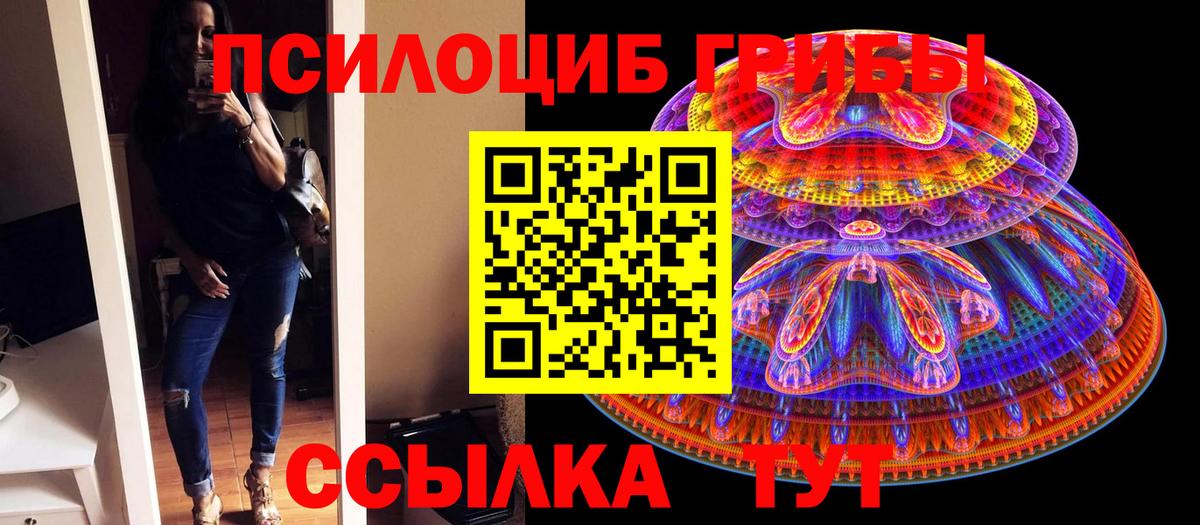 Псилоцибиновые грибы MAGIC MUSHROOMS  Вход с VPN  Заводоуковск  Псилоцибиновые грибы MAGIC MUSHROOMS 